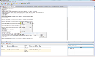 Free Serial Protocol Analyzer Screenshot