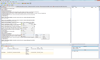 what is a serial terminal program